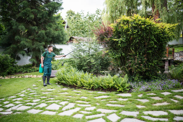 Best Tree Preservation Services  in Laurel Hollow, NY